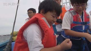 海の恵み実感　大洗の小学生がシラス漁体験