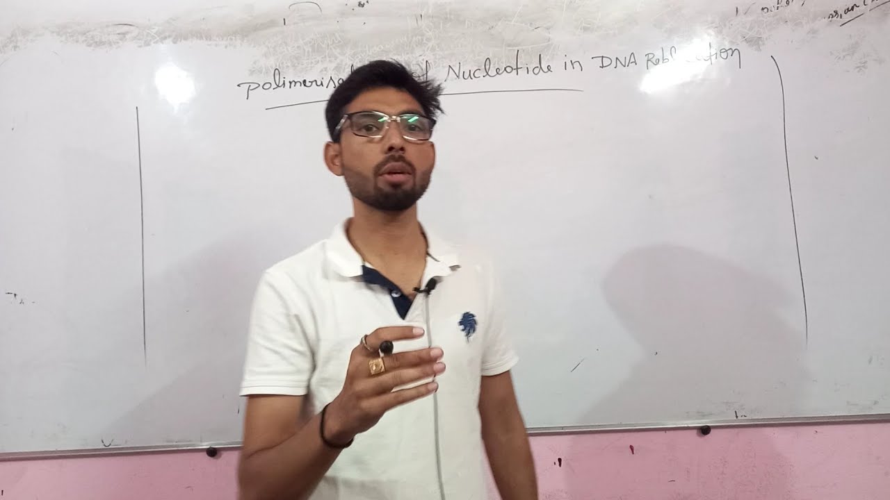 DNA Replication (Polimerisation) Class 12