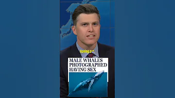 "MALE WHALES PHOTOGRAPHED HAVING S**" 😱🤣 COLIN JOST #shorts