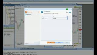 23 implement mql4 ENG Net Worth