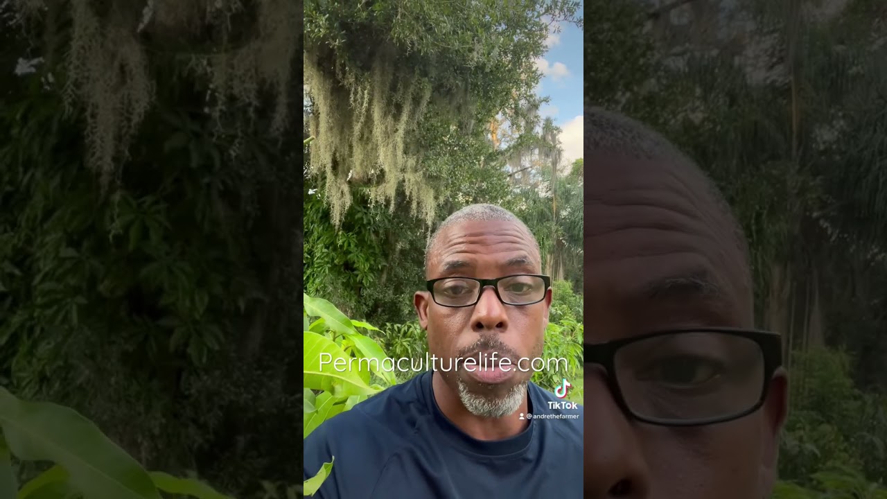 Chemical free insect pest control !