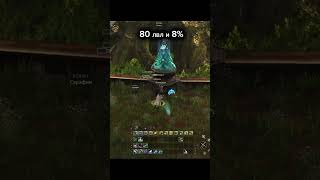 Много экспы и +8 пак Lineage 2 Legacy #lineage2 #rec #рекомендации #mmorpg #l2  #la2 #lineage2legacy