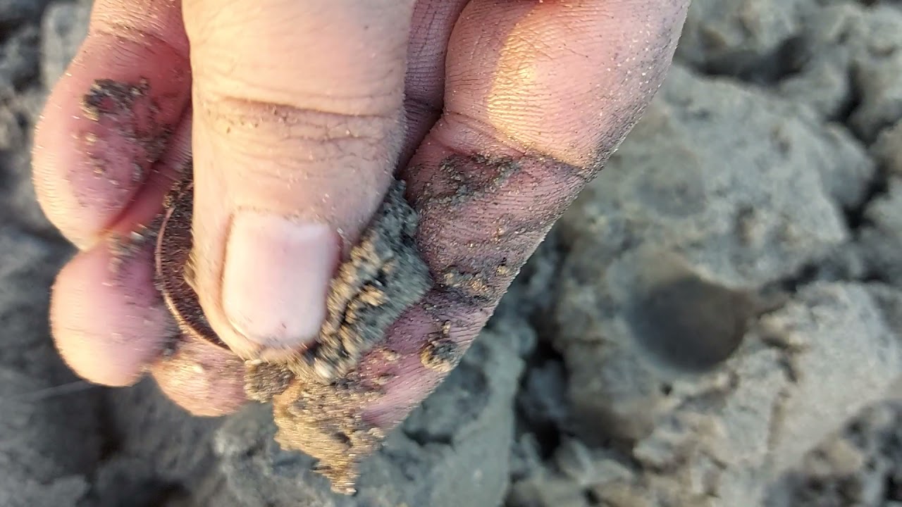 Beach Metal Detecting Isle of Wight YouTube