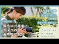 露出の三要素とカメラの基本的な設定〜F値・シャッタースピード・ISO感度・画質モードと画像サイズ〜【０からはじめるカメラ講座 LESSON5】| 鎌田風花さん