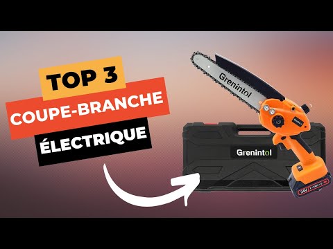 Les 7 meilleurs coupe-branches électriques en 2024 (sans arnaque)