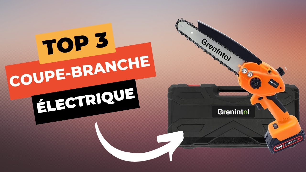 TOP 3 : Meilleur Coupe-Branche Électrique 2024 🔥 