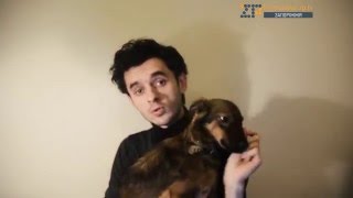 Новости из пальца # 42. Самая толстая собака Новости из пальца # 42. Самая толстая собака