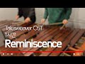 [1시간 반복재생] 테일즈위버 OST 레미니센스(Reminiscence) – Pulse Marimba Cover
