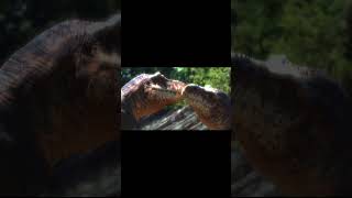 Эдит с тираннозавром/Tyrannosaurus edit. #тиранозавр #фонк #эдит