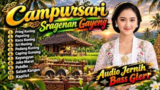 Download lagu SRAGENAN CAMPURSARI KOPLO AUDIO JERNIH BASS GLERR 