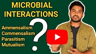 Microbial interaction, Biological interactions, chalk talk , Farman khan