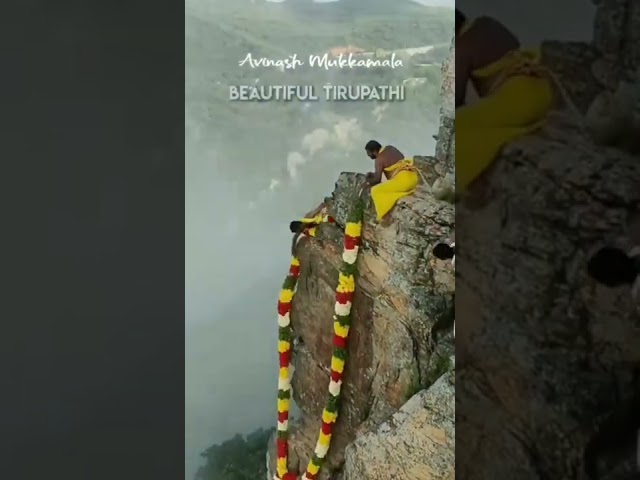 Tirumala Shaja Shilla Pooja Abhishekham A rare Video of Tirumala Special Balaji Trending reel TTD class=