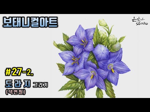 Flower Drawing Bellflower | 도라지꽃 그리기 | 꽃그림 배우기 27-2