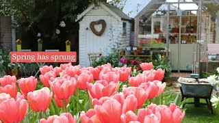 Spring Cottage Garden Vlog: Clip Backs, New Friend, and Tidying Up!