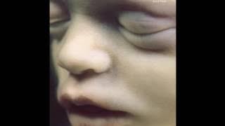 Rammstein - Mutter