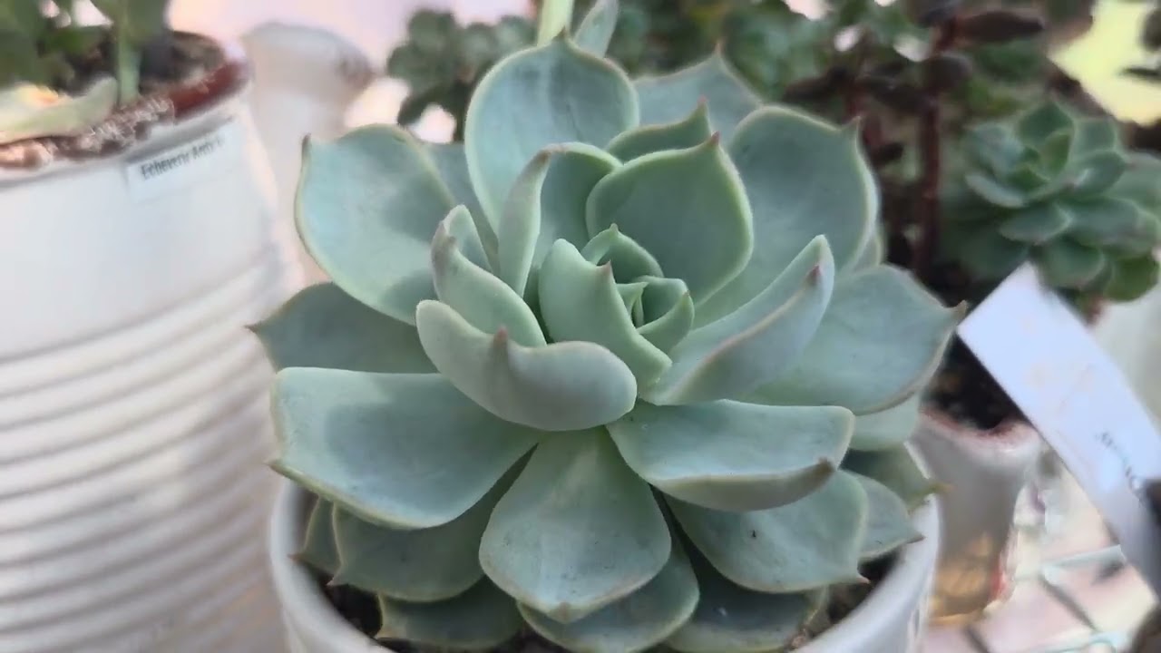 Haciendo cambios en el jardin, por fin!!!