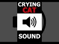 Gatto che piange - effetto sonoro #sounds #cat