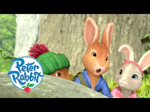 peter rabbit team apologizes