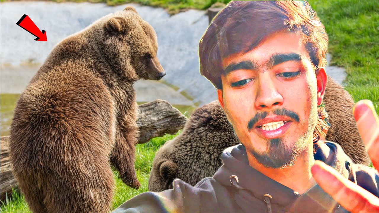 Bhalu yeh kya kar raha hai?😱