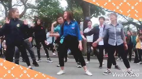 Random “ Dan Vu “ Play / “ Đừng ngại ngùng “ / Phố đi Bộ Nguyễn Huệ😍