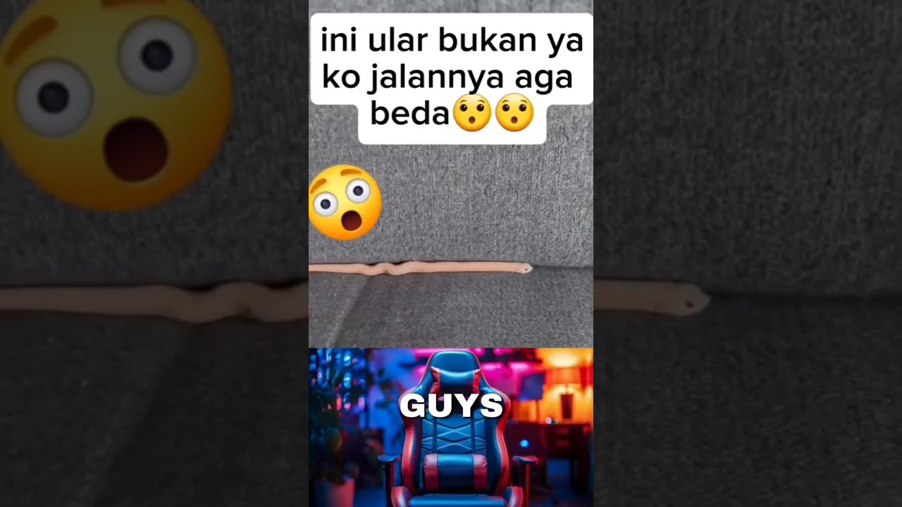 snake video🐍 #shorts #snake #animals