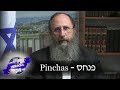 Weekly Torah Portion: Pinchas