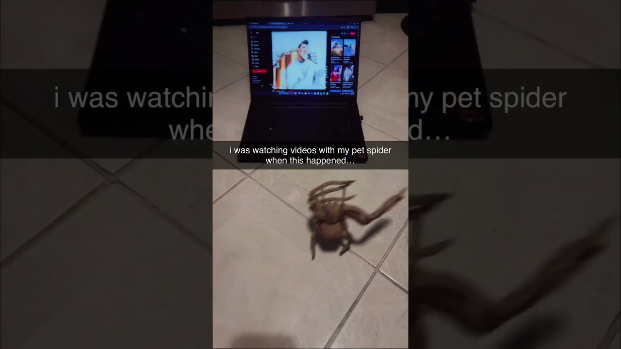 My Pet Spider Did THIS While Watching YouTube 🤯!
