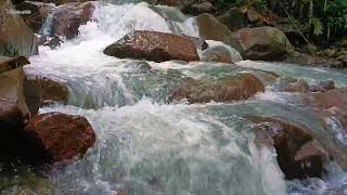 River Sound Calm The Mind and Refresh Brain Nerves, Nature Sounds for Focus & relaxation