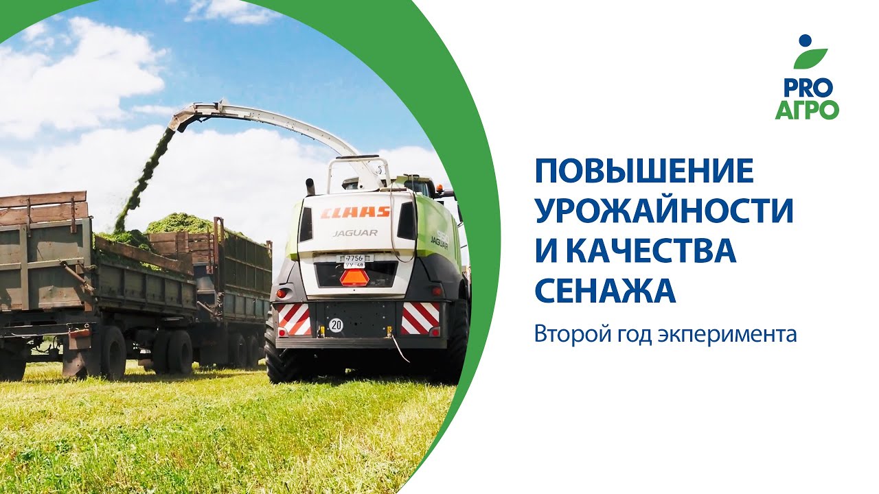 Камазы возят сенаж