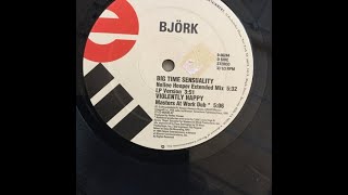 Bjork-Big Time Sensuality Nelle Hooper Extended Mix