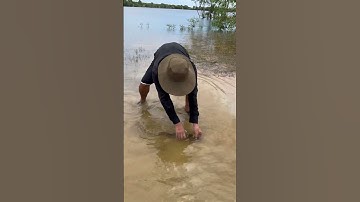 Trải Nghiệm Bắt Cá Lóc #trainghiem