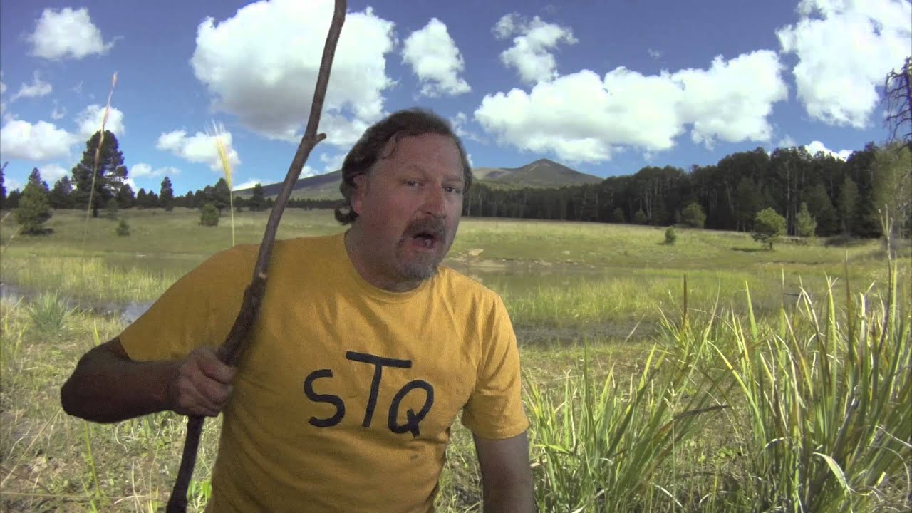 STQ Instructional Video: Benched