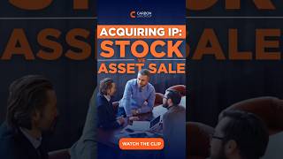 Acquiring IP: Stock vs Asset Sale