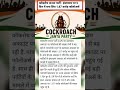 Cockroch janta party | CJP #news #facts #ख़बर1इंडिया