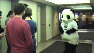 What is Panda doing to Fight Climate Change