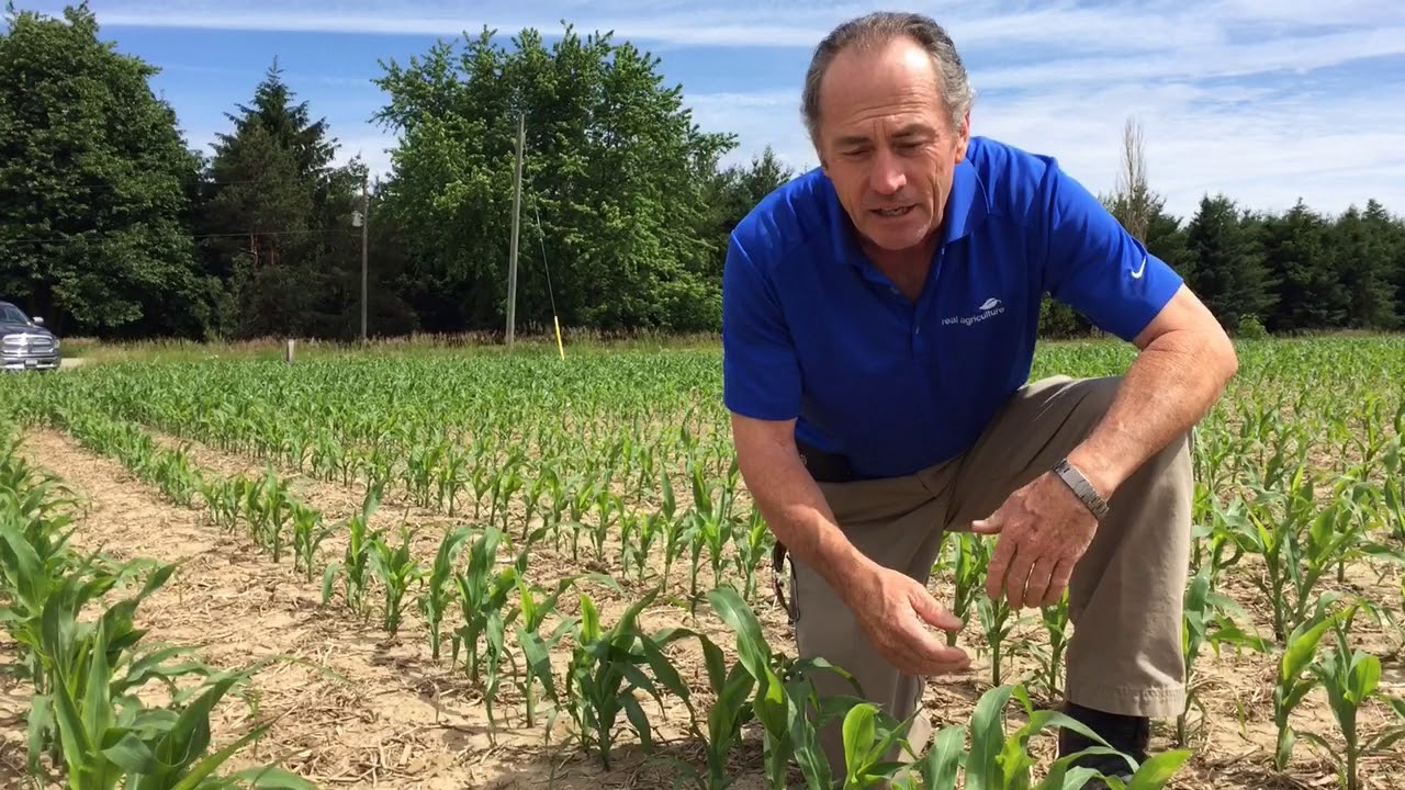 Reduced air pollution affecting farming