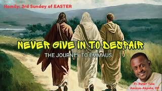 Homily: 3rd Sunday of Easter | NEVER GIVE IN TO DESPAIR | The Journey to Emmaus | Peter T. A-AKPALA