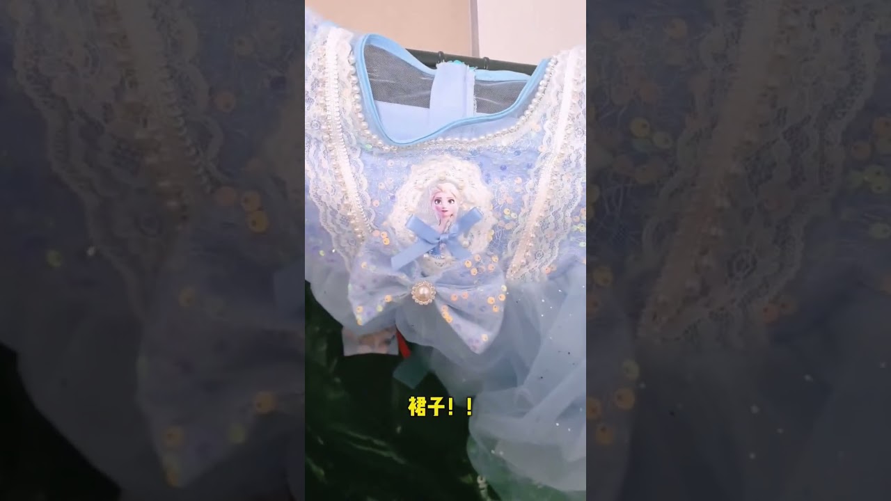 Cat's Birthday Gift 😂 