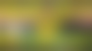 How To Install Kodi 18.0 on Firestick using Downloader