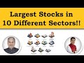 Largest stocks in 10 different sectors  dr bharath chandra  mr rohan chandra