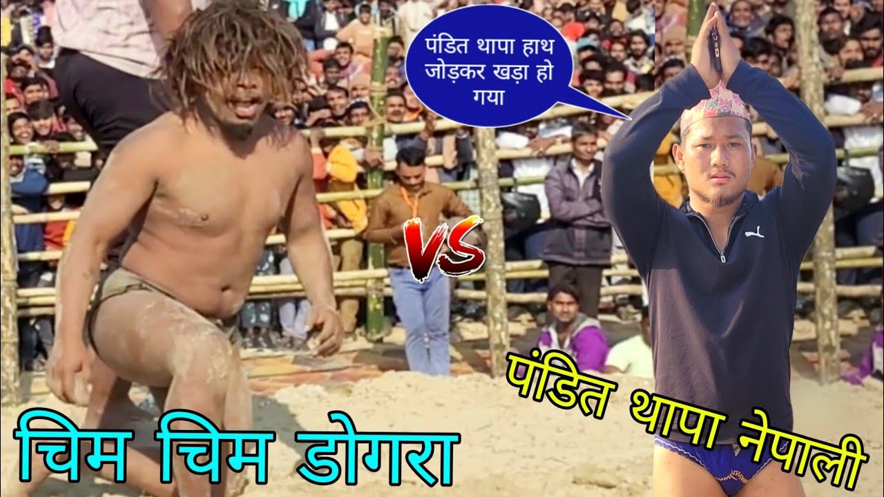  डुमरियागंज में  डोगरा का दबदबा //chim chim dogra ,pandit thapa nepali ki khusti