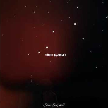 Imagination - Shawn Mendes // WhatsApp Status video