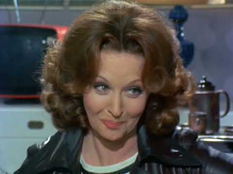The Protectors Series 1 Episode 20 (1972)