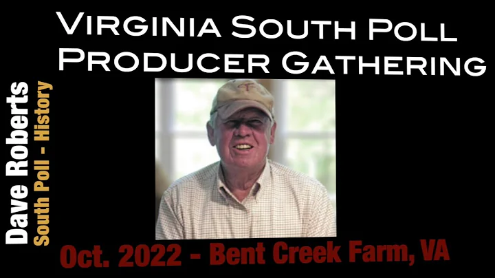 South Poll Grass Cattle History - Dave Roberts