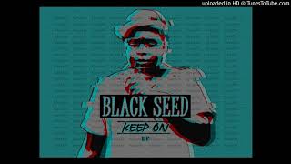 Video thumbnail of "02 BLACK SEED - JAH NEVER LET WE DOWN"