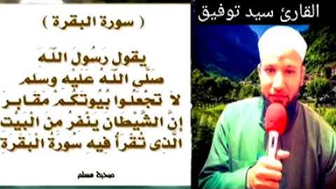 سورة البقرة كاملة القارئ سيد توفيق أخذها بركة وتركها حسرة ولاتستطيعها البطلة