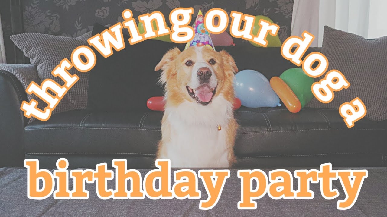 THROWING OUR DOG A BIRTHDAY PARTY 2020 YouTube