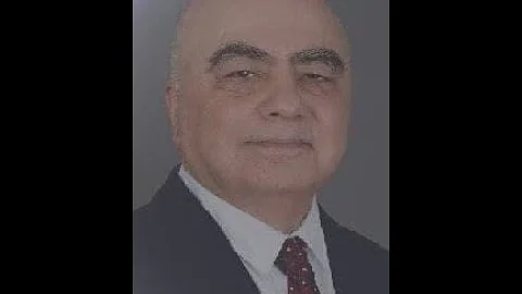 Hassan Behgar
