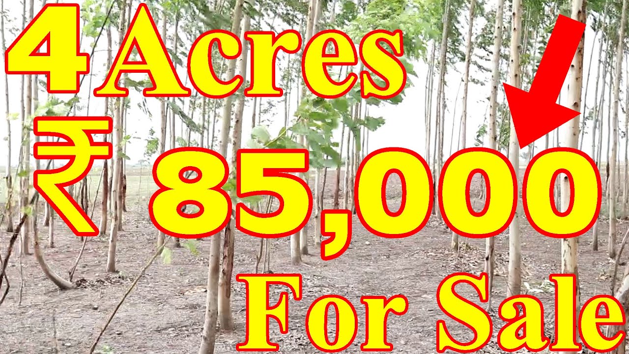 4 Acre Land With Road & Water Facility Land Sale Vizag Real Estate Tv