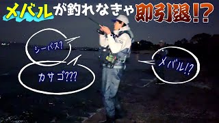 【メバリング】45LLメバルチューンでも釣れなくなった状況!!!だが諦めず魚と真っ向から向き合う回